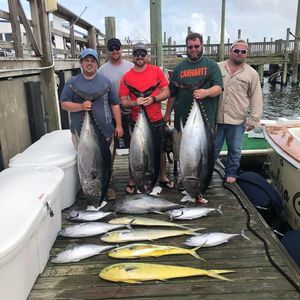 Meet your Posher, Steven